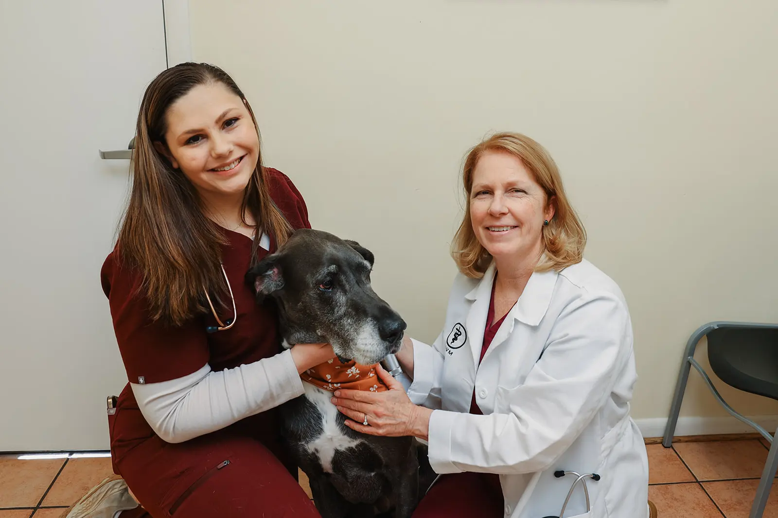 Veterinarian and veterinary technician kneeling with a senior dog during a wellness visit at Arnold Veterinary Hospital.